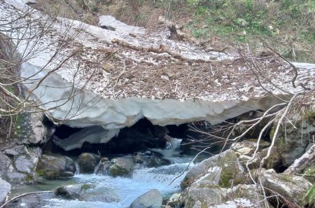 雪の残る渓流でイワナ爆釣 ～九頭竜川水系～